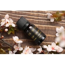 6 Piece Sherwood 10ml Essential Oils Set